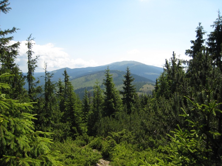 Tatry 2011