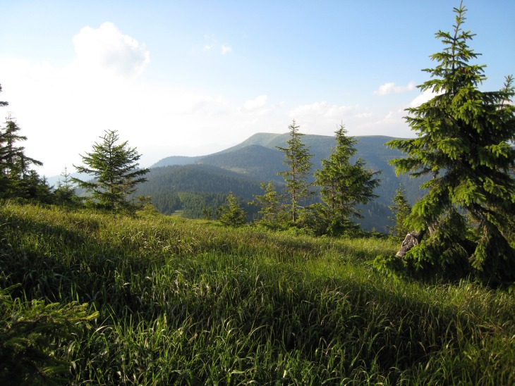 Tatry 2011