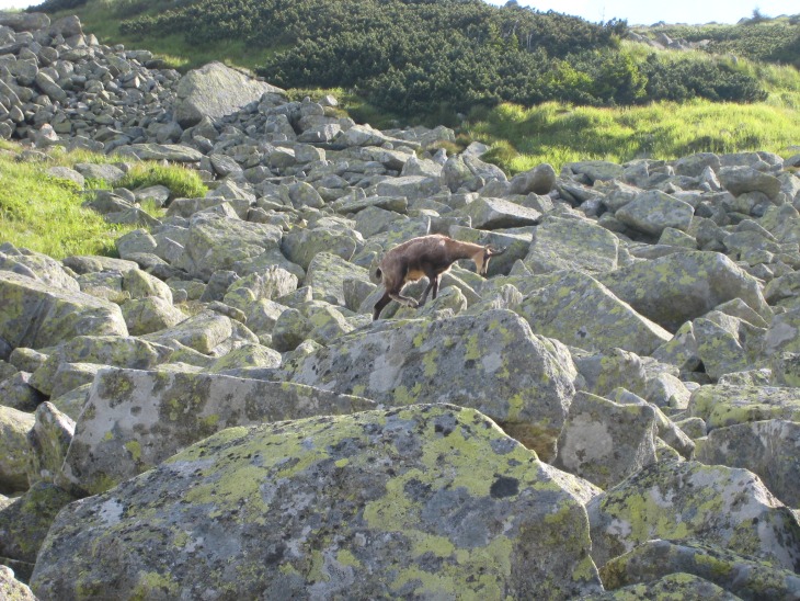 Tatry 2011