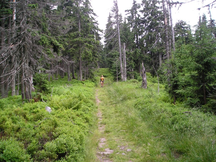 Tatry 2011