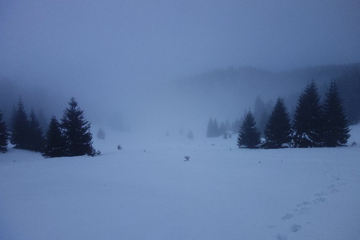 Konečně vycházíme z lesa a akorát se soumrakem přicházíme na louku s útulnou Smrekovica.