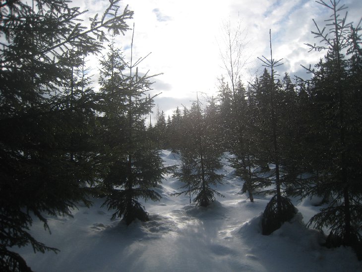 Víkendovka v krkonoších