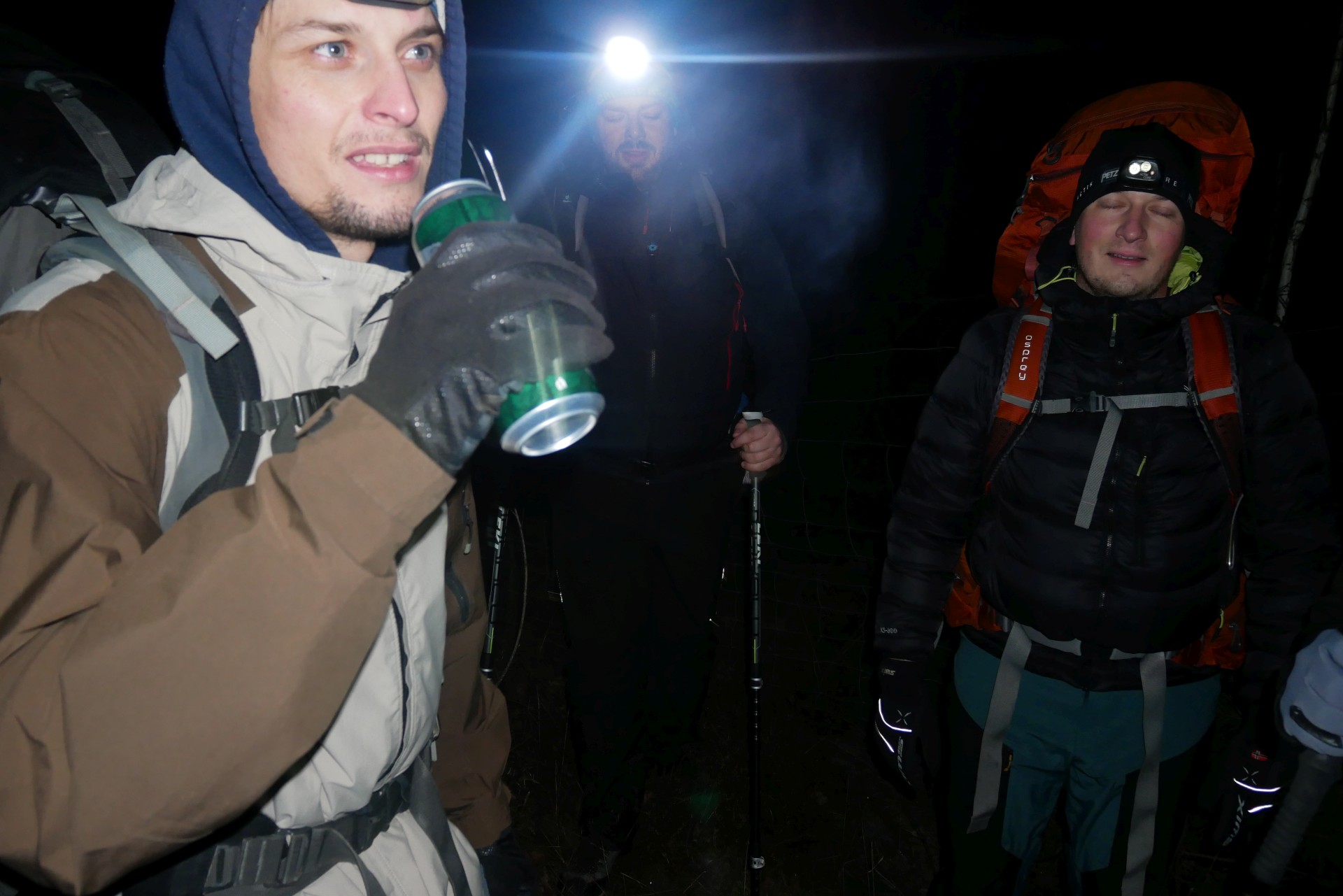 Zubři čekají