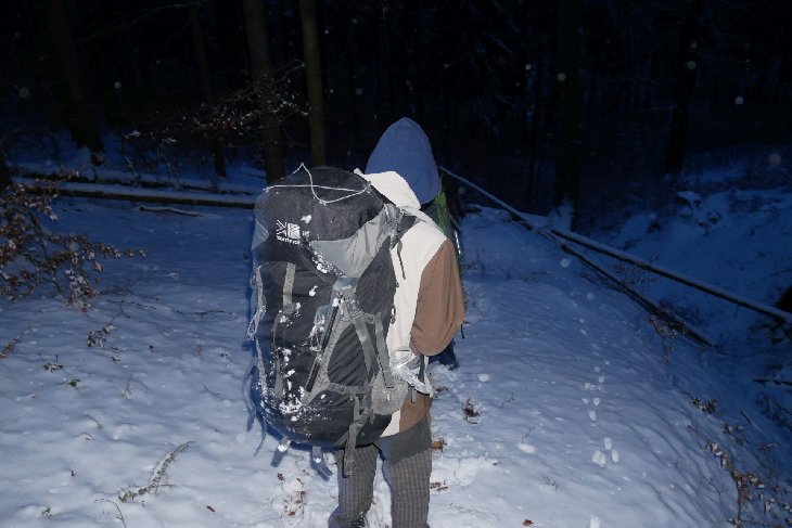 Zubři 5