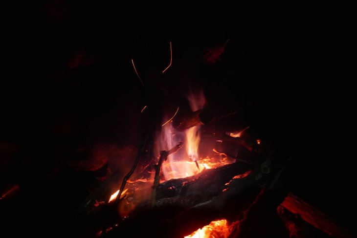 Zubři 7