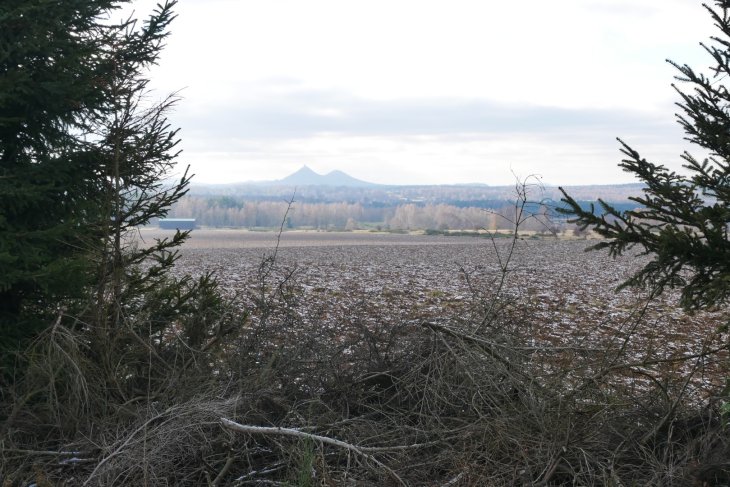 Zubři 7