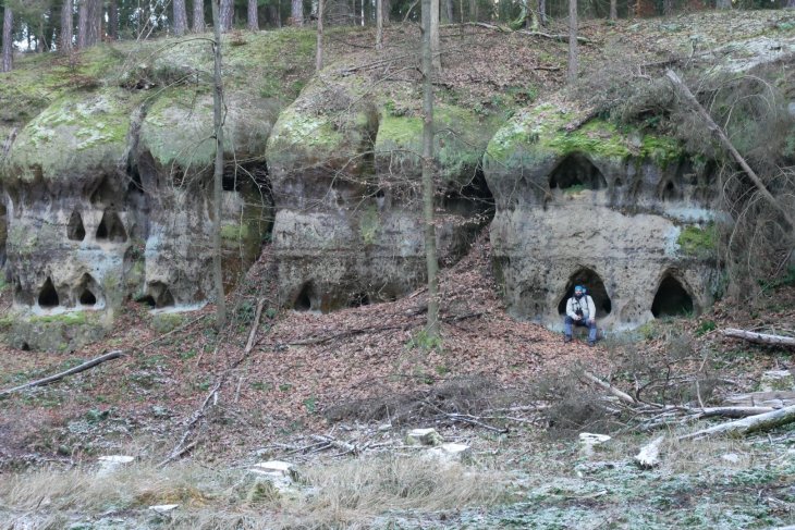 Zubři 7