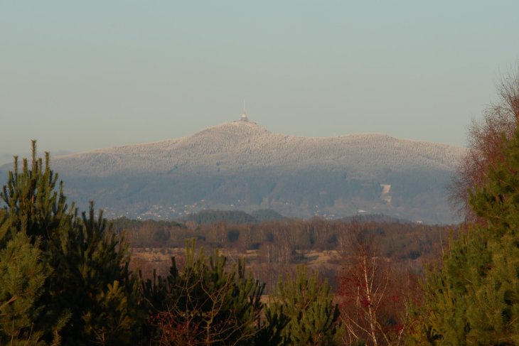 Zubři 7