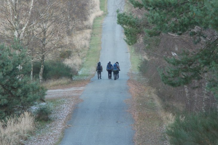 Zubři 7