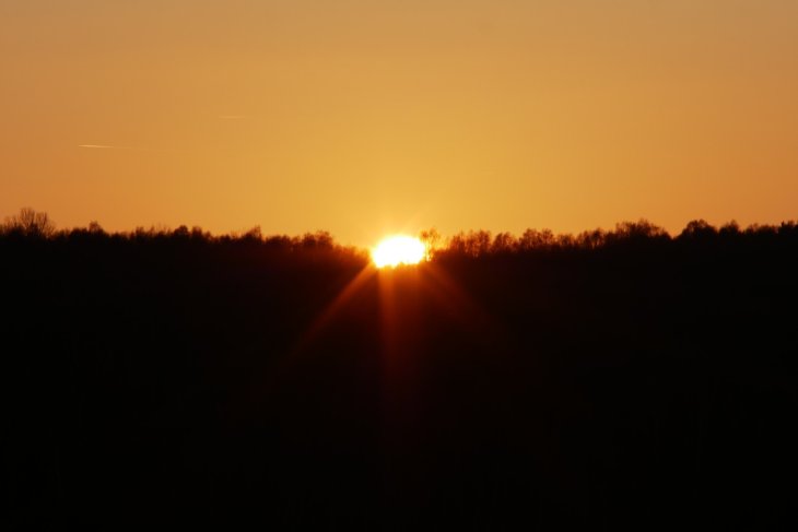 Zubři 7