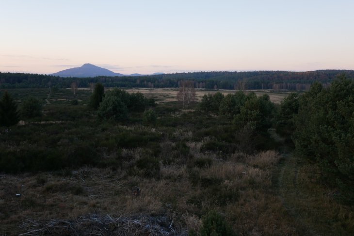 Zubři 7