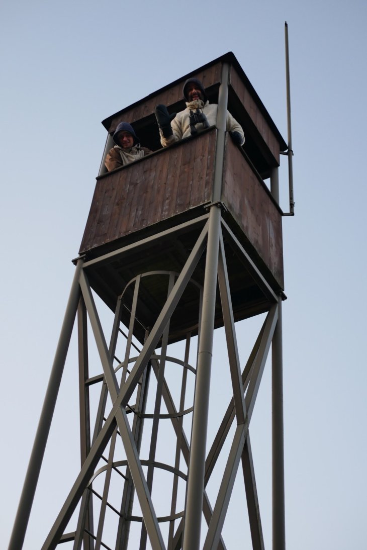 Zubři 7