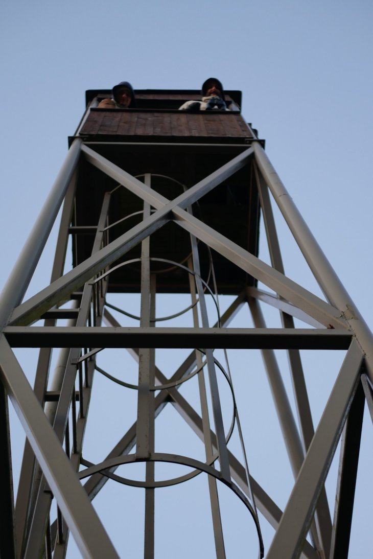 Zubři 7