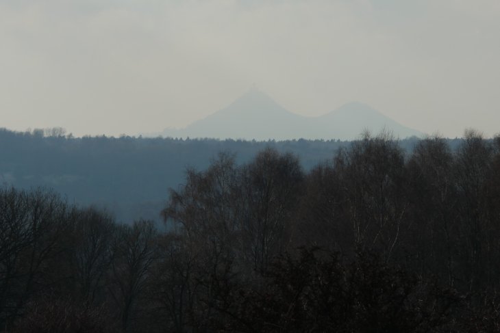 Zubři 7