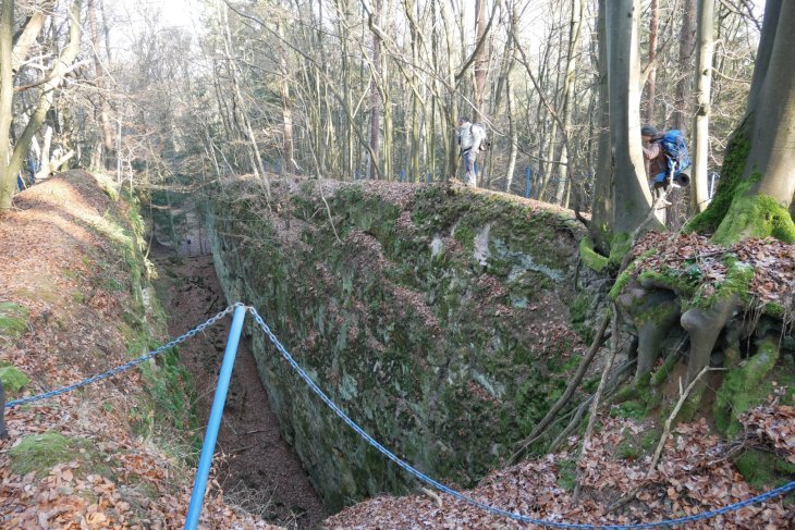 Zubři 7