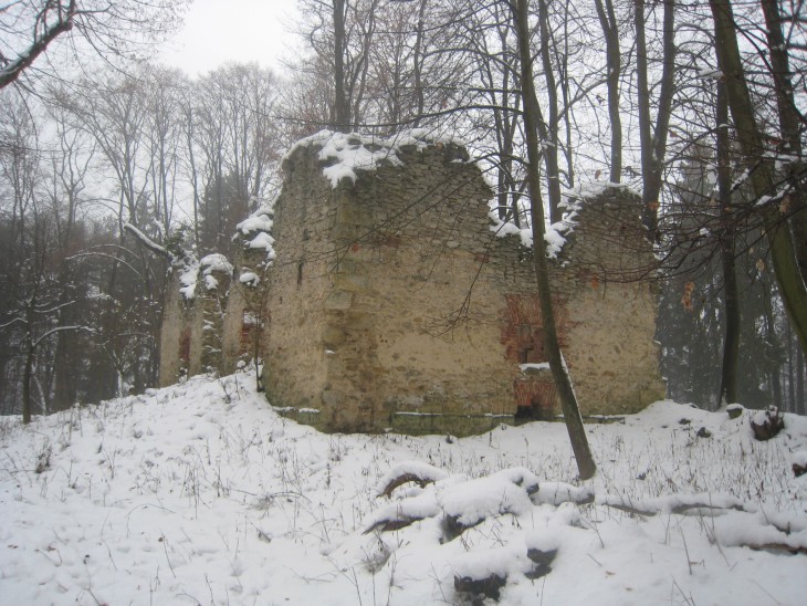 Zubři