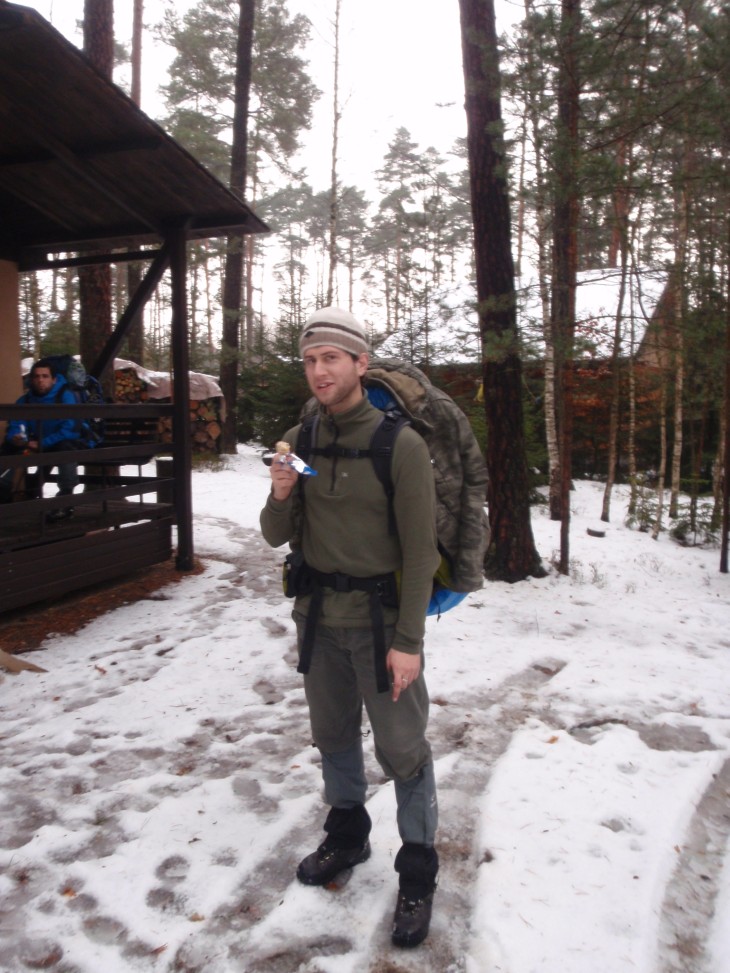 Zubři