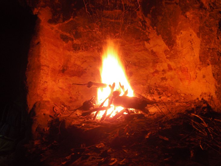 Zubři III