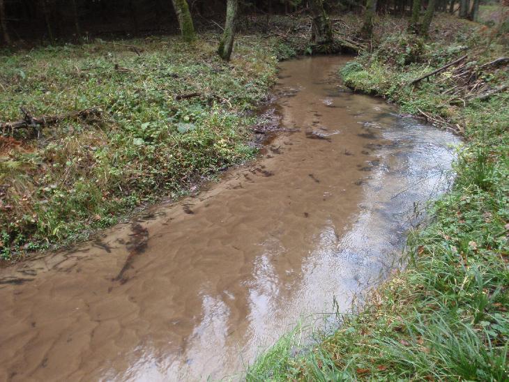 A byla i překvapivě čistá, krásné písčité dno.