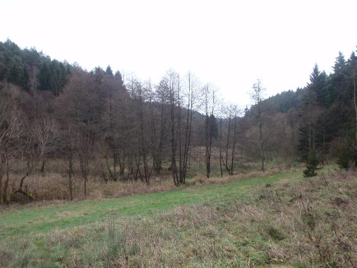 Okolní příroda byla pěkná:-)