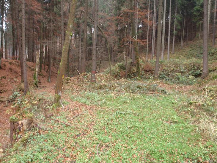 Cesta dál ubíhala opuštěnou krajinou s hlubokýma roklema.