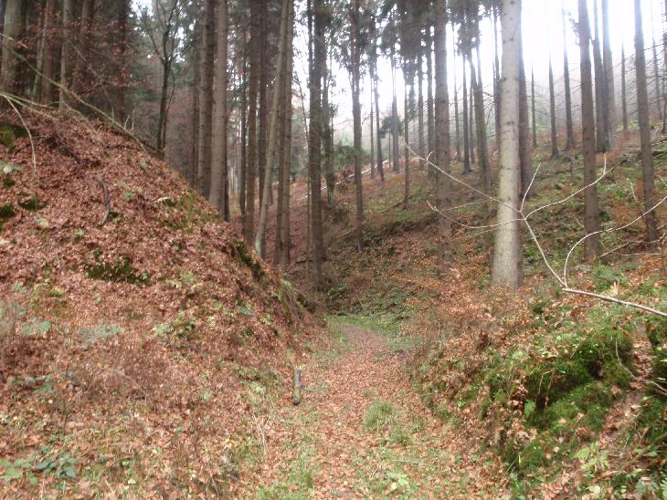 Zubri II