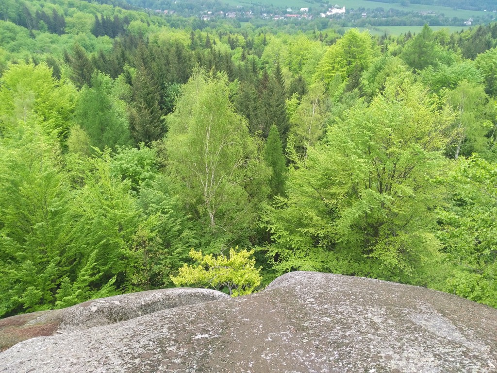 Všechno bylo krásně zelené.