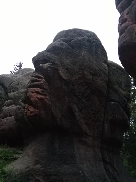 Taky vidíte hlavu?