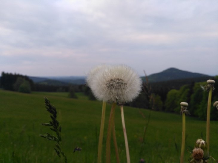 Při pokusu o umělecké foto jsem si lehl a fotil