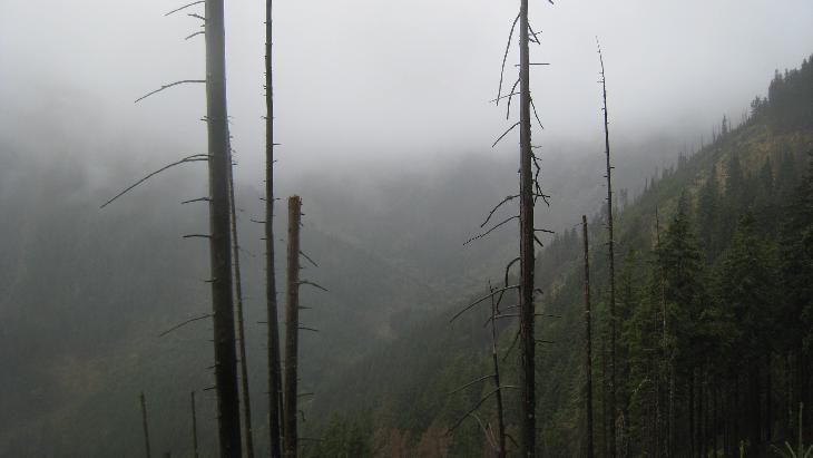 Krkonoše