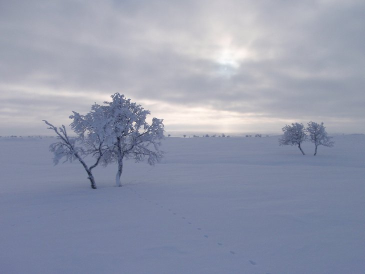 Kdž se lehce zatáhlo, tak byla docela i zima:D...Dnes -24°C.