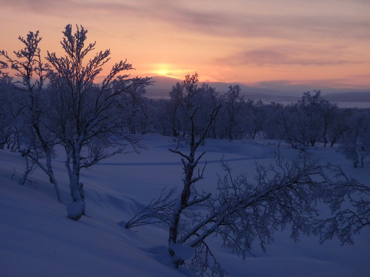 Laponsko
