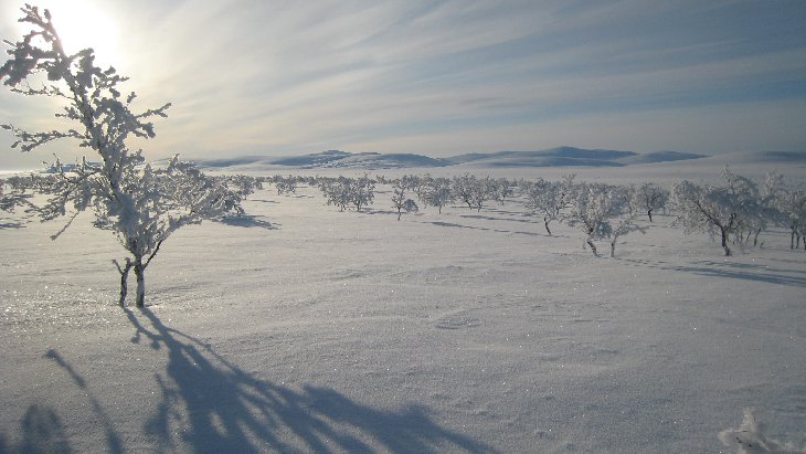 Laponsko