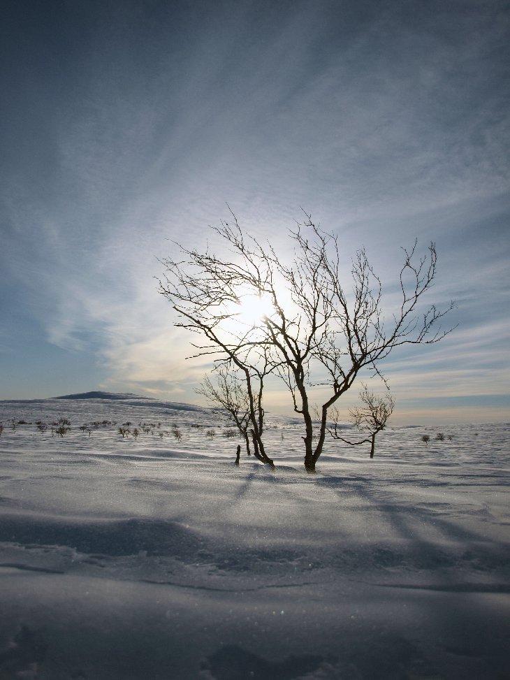 Dnes bylo sice pěkně jasno, ale pořádně foukalo. To snižuje teplotu třeba i o 10°C.
