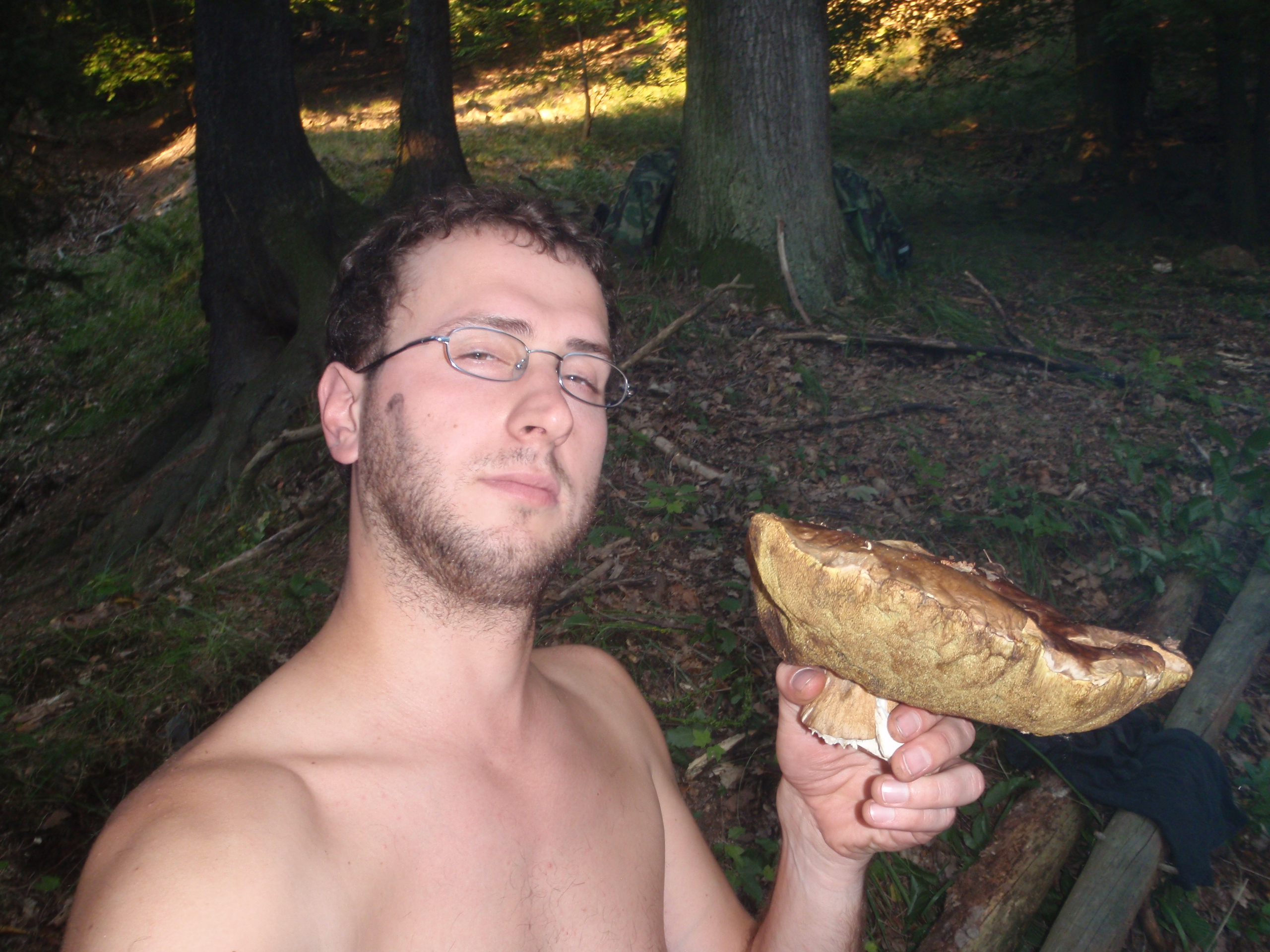 Slušný hřib