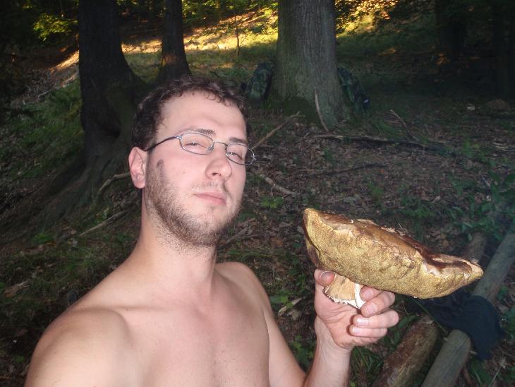 Slušný hřib