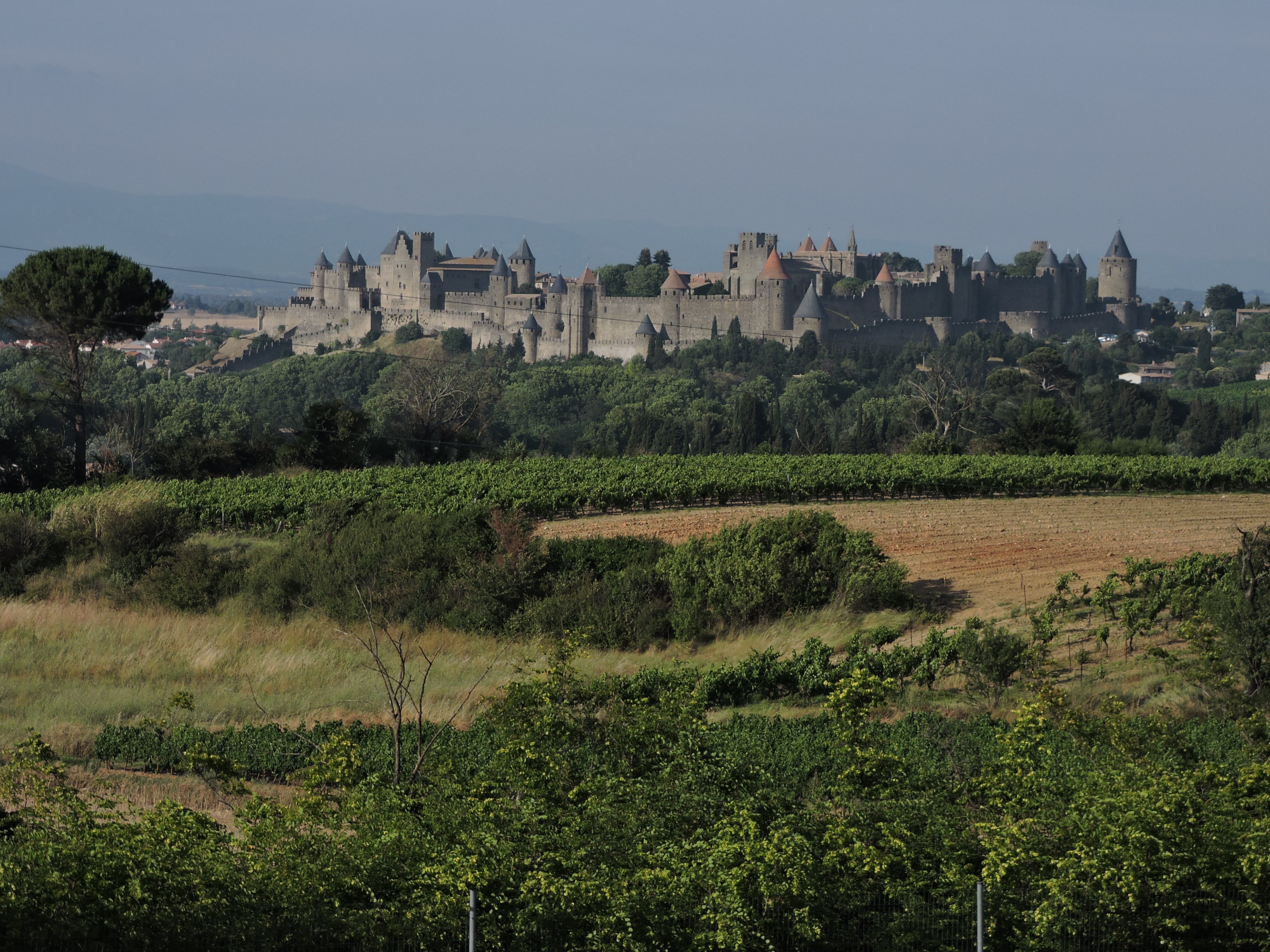 Výhled na Carcassonne z odpočívadla, kde jsme pauzovali a Kuba tam měl určitě i kešku:-D.