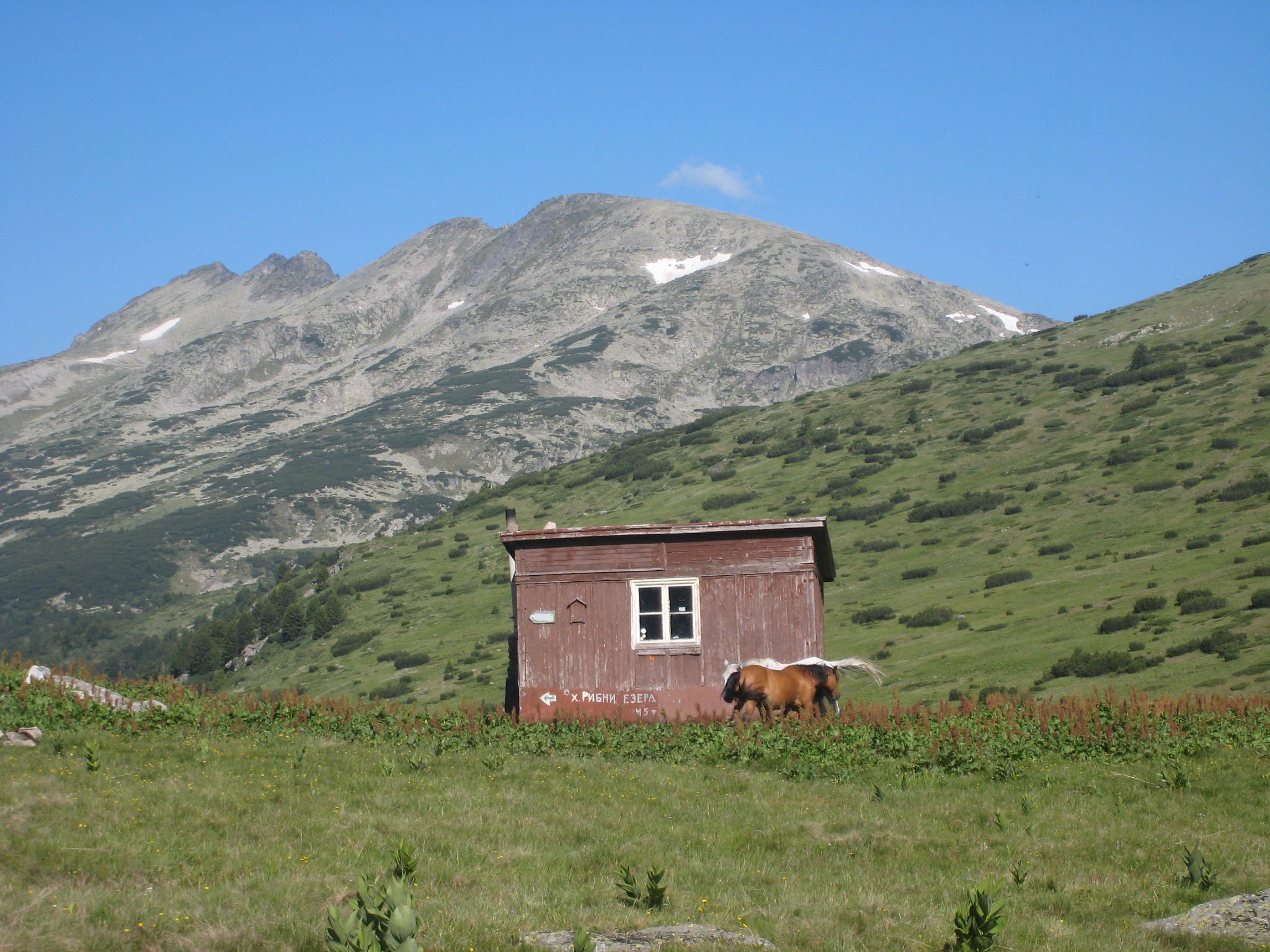 Bivak