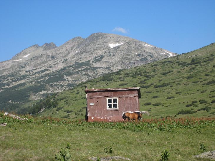 Bivak