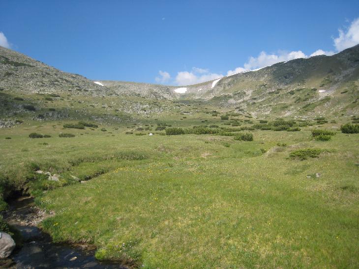 Rila
