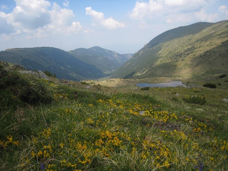 Rila