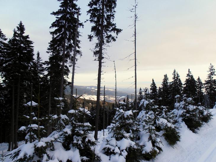Silvestr v Krkonoších