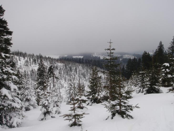 Silvestr v Krkonoších