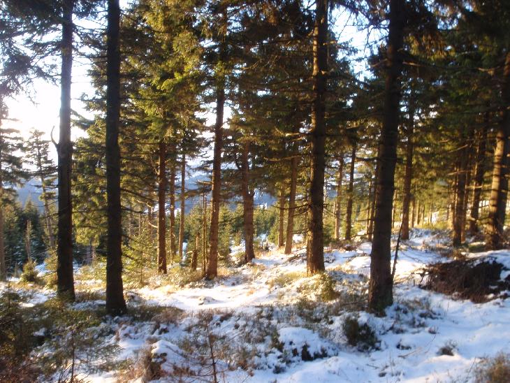 Silvestr v Krkonoších