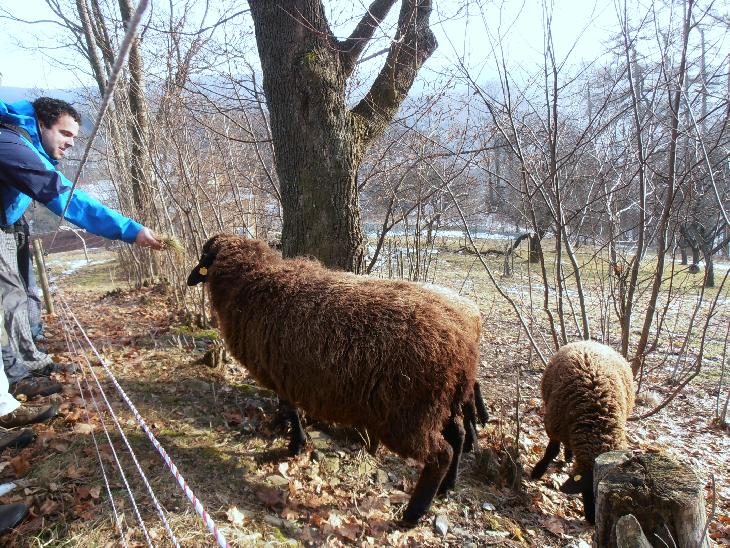 Silvestr v Krkonoších