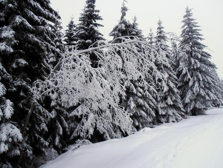 Silvestr v Krkonoších