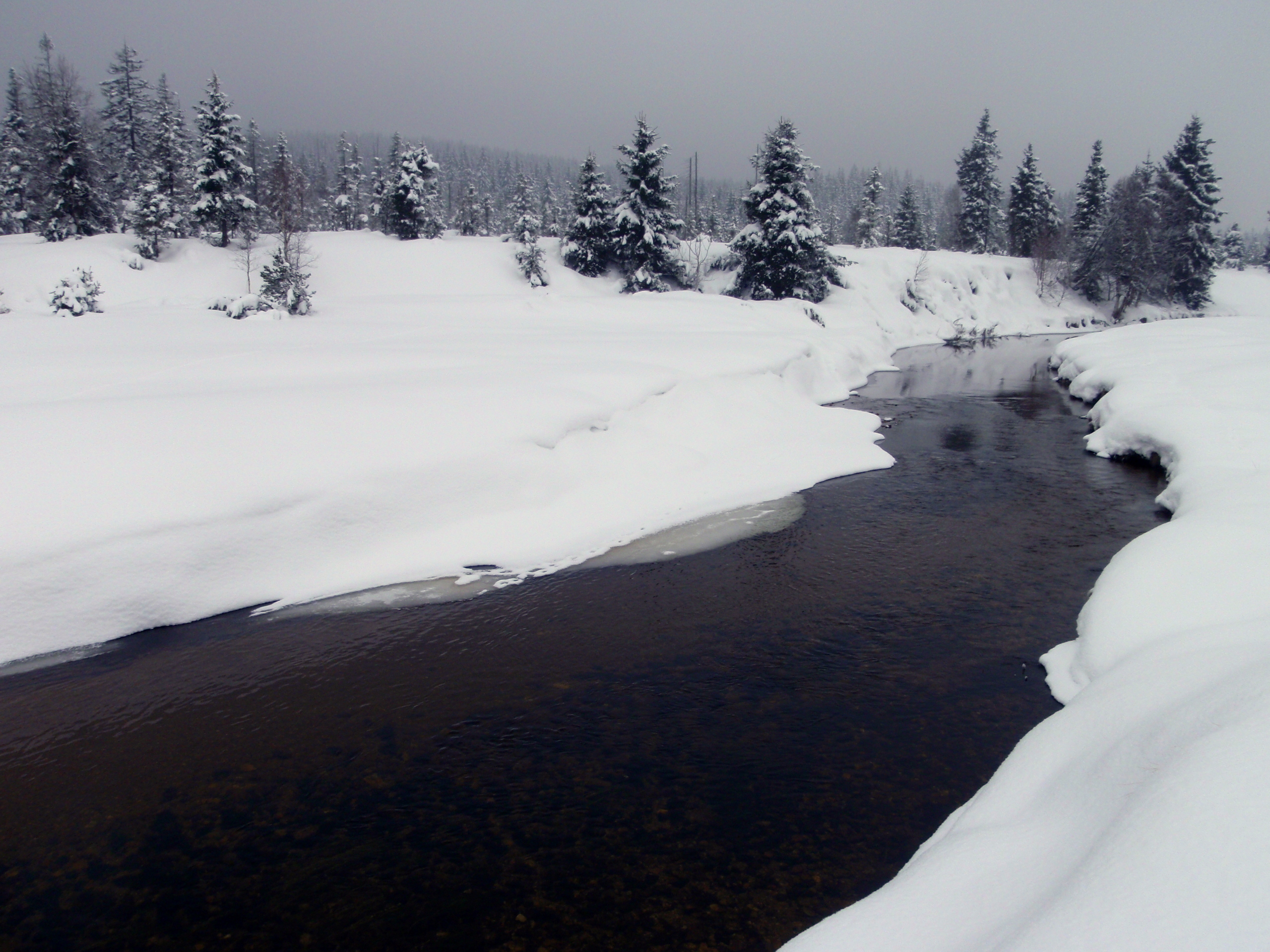Jizera