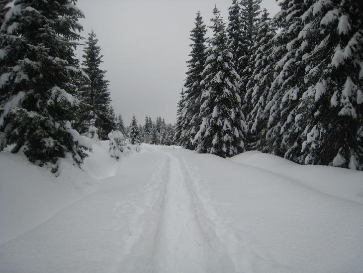 Sněžnice 2013