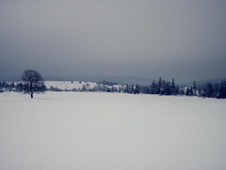 Sněžnice 2013