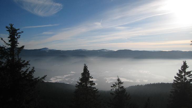 Sněžnice
